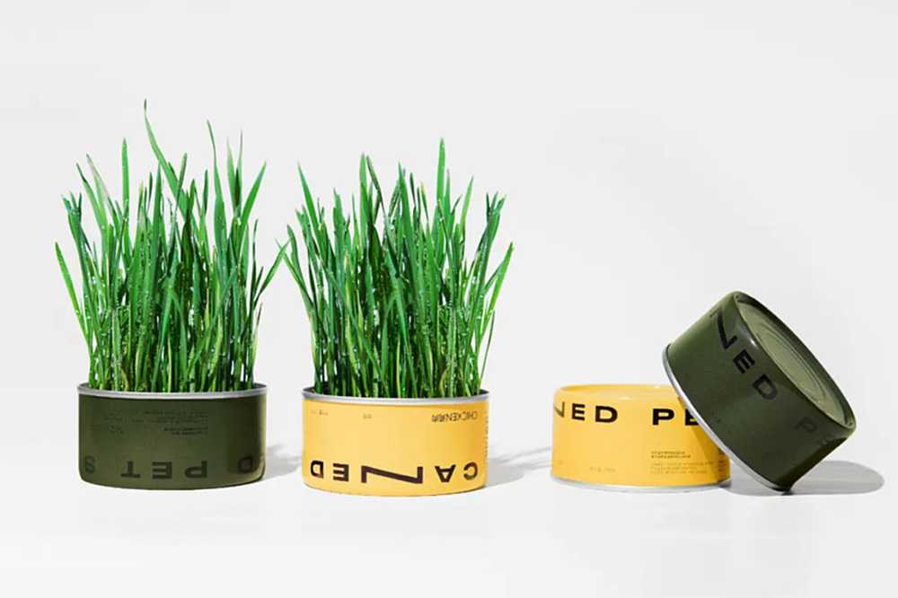 智造綠色活力，賦能高效未來——呂工機械全自動杯裝貓草生產(chǎn)線